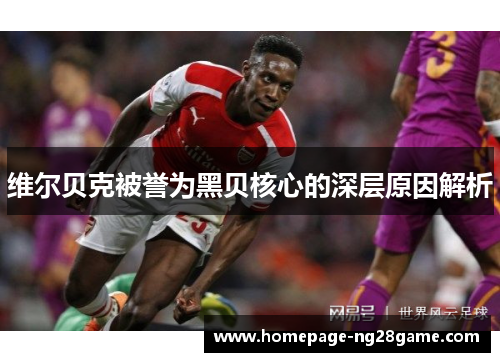 维尔贝克被誉为黑贝核心的深层原因解析