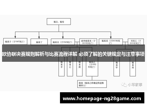 欧协联决赛规则解析与比赛流程详解 必须了解的关键规定与注意事项