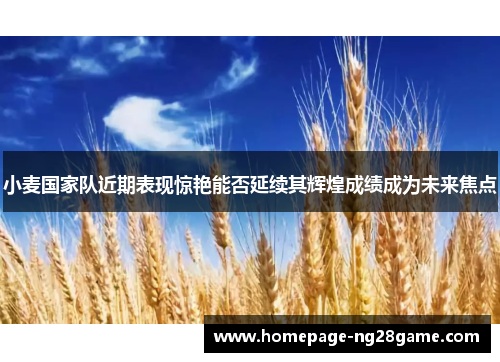 小麦国家队近期表现惊艳能否延续其辉煌成绩成为未来焦点
