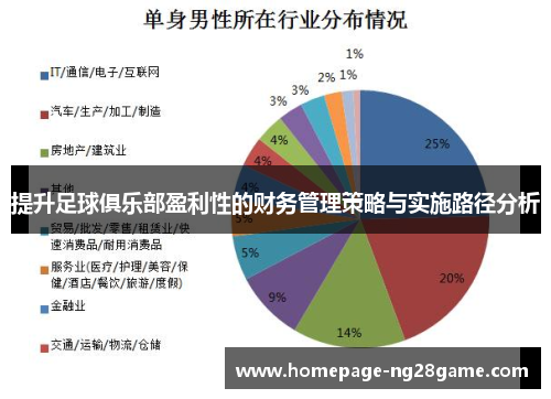 提升足球俱乐部盈利性的财务管理策略与实施路径分析